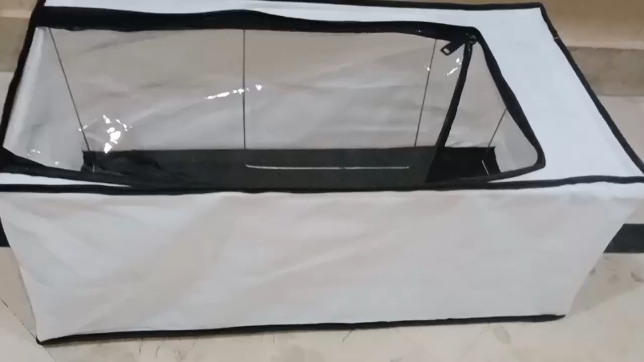 High-Capacity Shoe Storage Box – Dustproof, Foldable & Transparent Organizer (60×30×15cm)