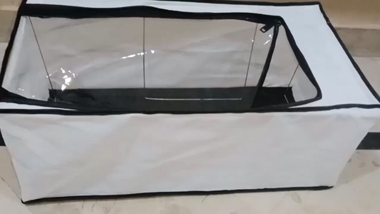 High-Capacity Shoe Storage Box – Dustproof, Foldable & Transparent Organizer (60×30×15cm)